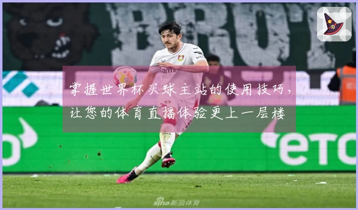 掌握世界杯买球主站的使用技巧,让您的体育直播体验更上一层楼