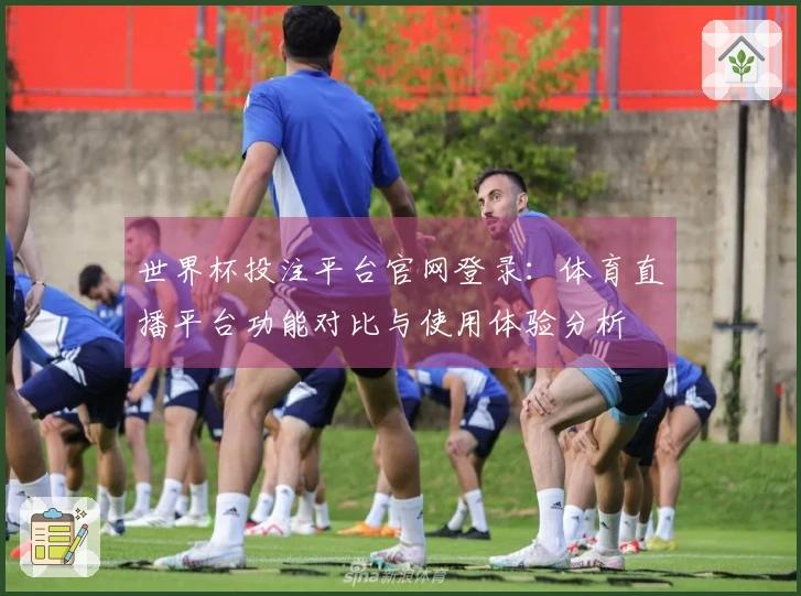 世界杯投注平台官网登录：体育直播平台功能对比与使用体验分析