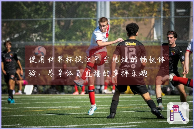 使用世界杯投注平台地址的畅快体验，尽享体育直播的多样乐趣