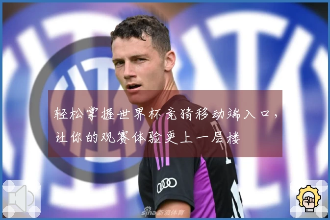 轻松掌握世界杯竞猜移动端入口,让你的观赛体验更上一层楼