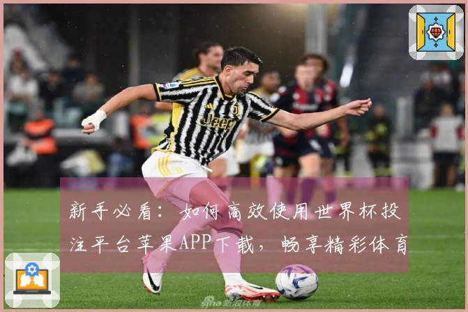 新手必看:如何高效使用世界杯投注平台苹果APP下载,畅享精彩体育直播体验