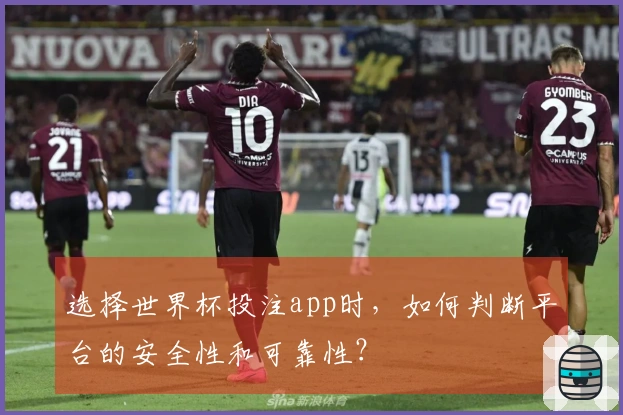 选择世界杯投注app时，如何判断平台的安全性和可靠性？