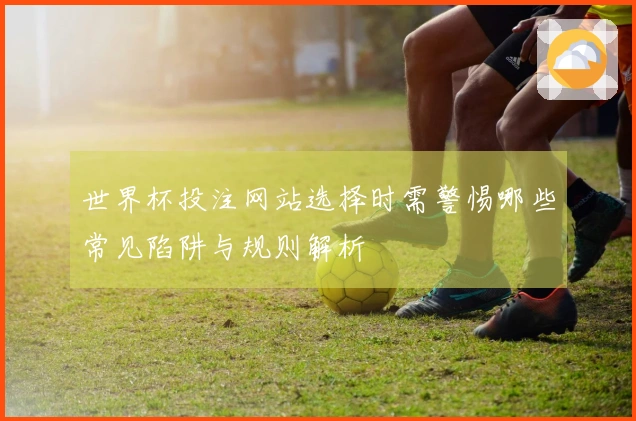 世界杯投注网站选择时需警惕哪些常见陷阱与规则解析
