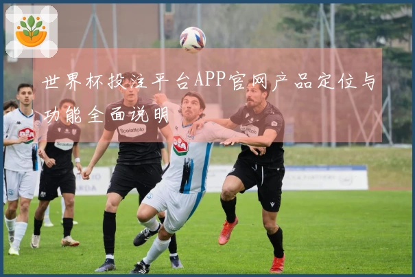 世界杯投注平台APP官网产品定位与功能全面说明